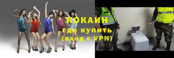 мдпв Верея