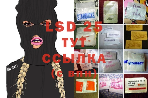 мдпв Верея