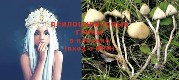 мдпв Верея