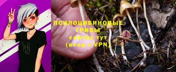 синтетический гашиш Верхний Тагил