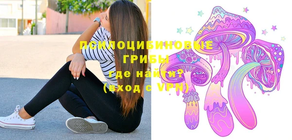 мдпв Верея