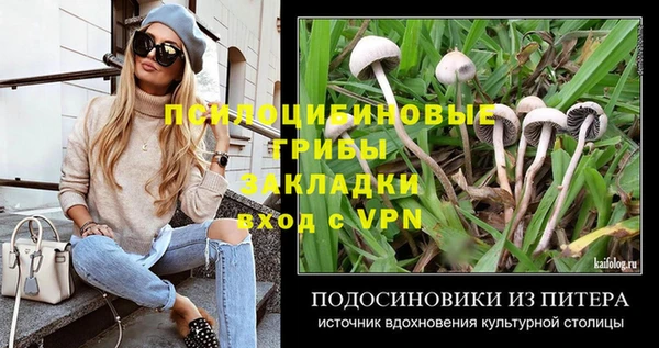 мдпв Верея