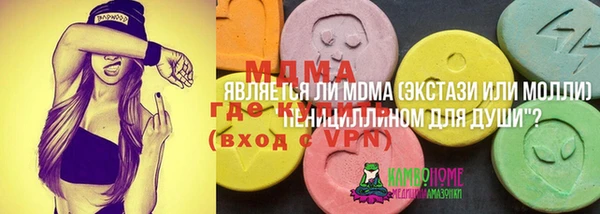 мдпв Верея