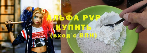ешки Бородино