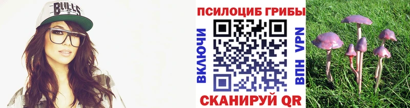 Псилоцибиновые грибы мухоморы  магазин    Гудермес 